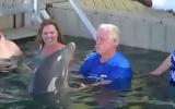 Μια τρελή συνάντηση με ένα δελφίνι (video),
