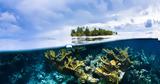 12 υποβρύχιες φωτογραφίες που δείχνουν τον μαγικό κόσμο της θάλασσας,
