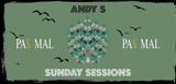 Andy S - Sunday Sessions,Pas Mal
