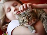 Οι γάτες (όχι οι σκύλοι) σώζουν τα παιδιά από άσθμα,