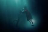The Shape,Water -