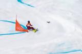 Σκίουρος, Χειμερινών Ολυμπιακών Αγώνων,skiouros, cheimerinon olybiakon agonon