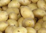 Πατάτες Αιγύπτου, Θήβας,patates aigyptou, thivas