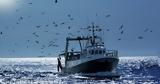 shutterstock.com Σε τετραπλάσια έκταση η παγκόσμια αλιεία σε σχέση με την παγκόσμια γεωργία,