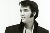 Elvis Presley, Searcher -, Βασιλιά, Rock #039N#039 Roll,Elvis Presley, Searcher -, vasilia, Rock #039N#039 Roll