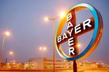 Bayer, Αύξηση, 2017,Bayer, afxisi, 2017