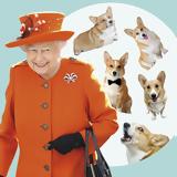 Α Dog Affair, Μπήκαν, Queen Elizabeth, Meghan, Harry,a Dog Affair, bikan, Queen Elizabeth, Meghan, Harry