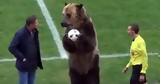 Η ρωσική ομοσπονδία ποδοσφαίρου φέρνει αρκούδα στο γήπεδο και γίνεται κακός χαμός,