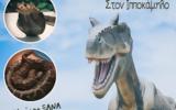 ΠΑΤΡΑ, Τυραννόσαυρο Ρεξ –,patra, tyrannosavro rex –
