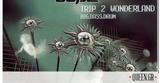 Trip 2 Wonderland ~ Ravers On Dope,Original Mix 2003