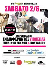 Ημέρα Εκδήλωσης Ενδιαφέροντος Υιοθεσίας Ενήλικων #x26 Κουταβιών, Happy Dog Pet Shop,imera ekdilosis endiaferontos yiothesias enilikon #x26 koutavion, Happy Dog Pet Shop