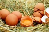 Η καθημερινή κατανάλωση αυγών σχετίζεται με μειωμένο καρδιαγγειακό κίνδυνο,