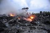 MH17,Malaysia Airlines
