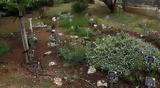Ιπποκράτειος Βοτανικός Κήπος, Πανεπιστήμιο Ιωαννίνων,ippokrateios votanikos kipos, panepistimio ioanninon