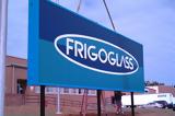 Frigoglass, Αύξηση 198,Frigoglass, afxisi 198