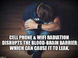 Depression - Could Cell Phone, WiFi Radiation Disrupting,Blood-Brain Barrier Be Playing, Role