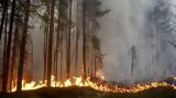 Πυρκαγιές, Σουηδία - Καύσωνας, Φινλανδία,pyrkagies, souidia - kafsonas, finlandia