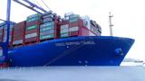 Cosco, 2M Maersk,MSC