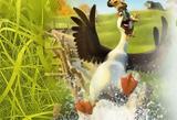 23 Αυγούστου 2018, “Μια Πάπια, - Duck Duck Goose”,23 avgoustou 2018, “mia papia, - Duck Duck Goose”