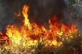 Φωτιά ΤΩΡΑ Κρήτη – Ιεράπετρα – Ειδήσεις,fotia tora kriti – ierapetra – eidiseis