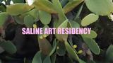 Saline Art Residency, Δημόσιες, Πόρτο Χέλι, Ερμιόνη,Saline Art Residency, dimosies, porto cheli, ermioni