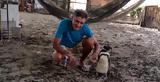 Πιγκουίνος, 5 000, [video],pigkouinos, 5 000, [video]
