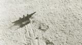 Χαμένο, P-38, Β Παγκοσμίου Πολέμου,chameno, P-38, v pagkosmiou polemou