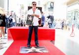 Hollywood Walk, Fame,Simon Cowell