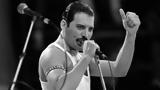 Freddie Mercury,