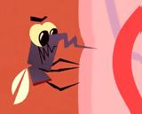 Γιατί οι δρομείς είναι το αγαπημένο… σνακ των κουνουπιών;,
