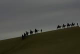 Η βόλτα με καμήλες έβγαλε από την αφάνεια ένα κινέζικο χωριό,