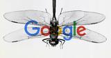 Dragonfly -, Google, Κίνα,Dragonfly -, Google, kina