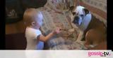 Η φοβερή συνομιλία του μωρού με το bulldog,