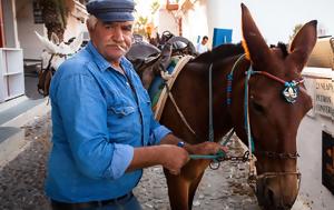 Greece Bans Overweight Tourists From Riding Santorini’s Donkeys