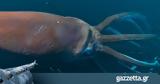 Τα πιο τρομακτικά πλάσματα που μπορεί να συναντήσει κανείς στα βάθη των ωκεανών (pics &amp;vids),