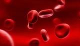 Νέα θεραπεία για τα άτομα με αιμορροφιλία Α!!!,