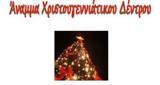 Πτολεμαΐδα, Φωταγώγηση Χριστουγεννιάτικου Δένδρου,ptolemaΐda, fotagogisi christougenniatikou dendrou