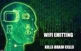 Like Alcohol Exposure,WiFi Kills Brain Cells