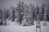 Χειμωνιάτικο, – Χιόνια,cheimoniatiko, – chionia