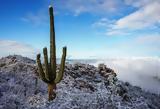 Χιόνισε, Αριζόνα – ΔΕΙΤΕ ΜΑΓΕΥΤΙΚΕΣ ΦΩΤΟΒΙΝΤΕΟ,chionise, arizona – deite magevtikes fotovinteo