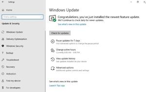 Microsoft, Windows 10 Home