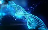Η επίδραση του λινολεϊκού οξέος στον οργανισμό μας εξαρτάται από τα γονίδια μας,