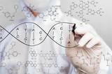 51 νέα γονίδια που συνδέονται με την οστεοαρθρίτδα βρήκαν οι ερευνητές,