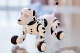 Σκυλάκια-ρομπότ,skylakia-robot