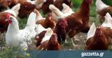 Κότες, Γαλλία,kotes, gallia