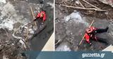 Η ηρωική προσπάθεια διασώστη για να σώσει ένα κουτάβι που είχε παγιδευτεί σε παγωμένο ποταμό (vid),