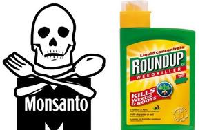Roundup, Bayer, Monsanto