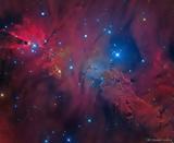 Vicinity,Cone Nebula