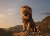 Lion King,