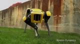 Boston Dynamics,
